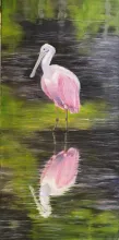 Spoonbill